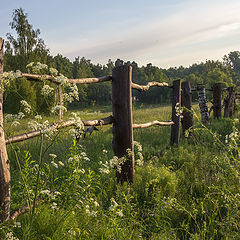 фото "Утро"