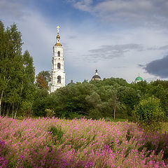 фото "Летний день"