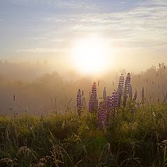 фото "Рождение дня"