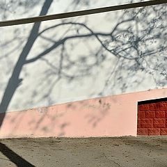 photo "***"