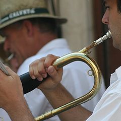 photo "musician"