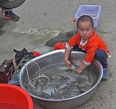 фото "Мальчик с рыбами"