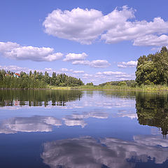 фото "проплывая в облаках"