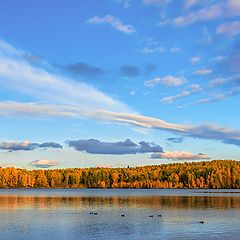 фото "Осенняя панорама"