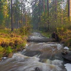 фото "После дождя"