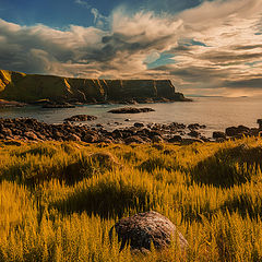 photo "Northern Coast"