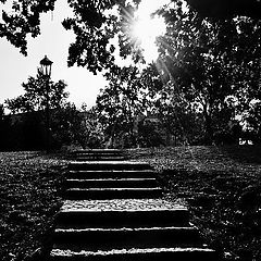 photo "Солнце и лестница"