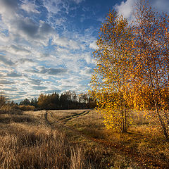 фото "Золотистое утро"