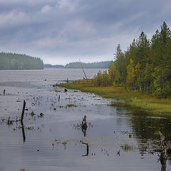 фото "На Севере диком (где-то в Карелии)..."