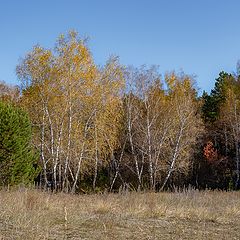 фото "Осень."