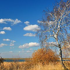 фото "Осенняя картинка"