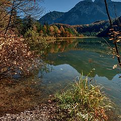 фото "На берегу Schwanensee (Германия, Бавария)"