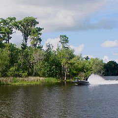 фото "Погоня"