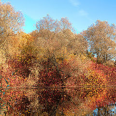 photo "Red and blue"