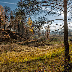 фото "солнечная осень"