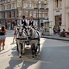 фото "Прогулка по Вене"