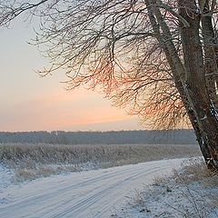 фото "Зимний рассвет"
