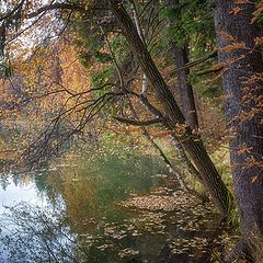 фото "Осень в Абрамцево 2"