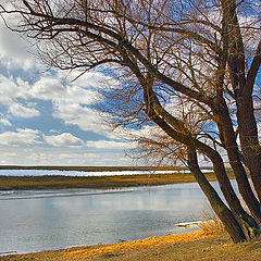 фото "Весенний берег"