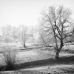 photo "***"