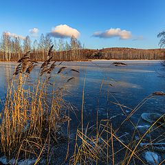 фото "Островок осени"