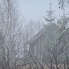 фото "за туманом"