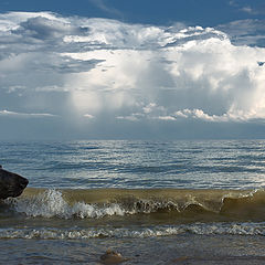 фото "Джерри и море"