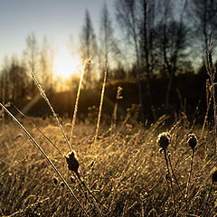 фото "Рассвет"