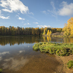 фото "Утиный рай"