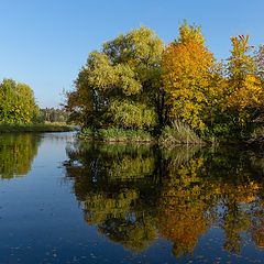 фото "Отражение красок осени ."