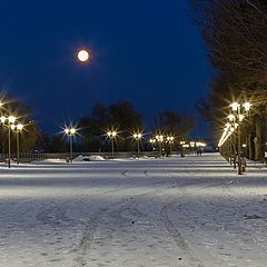 фото "Снежный ноябрьский вечер ."