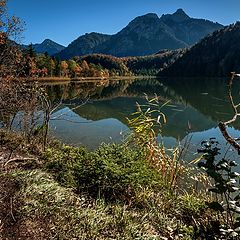 фото "На берегу Schwanensee (Германия, Бавария)"