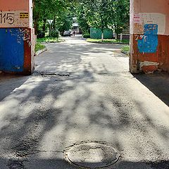 фото "***"