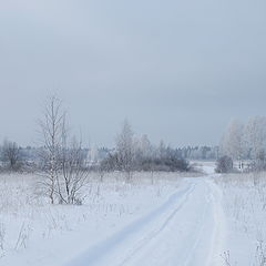 фото "Дрёма..."