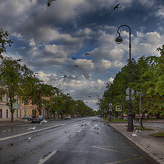 фото "Нашествие чаек..."