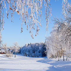 фото "Зимушка-зима"