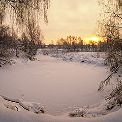 фото "зимнее утро"