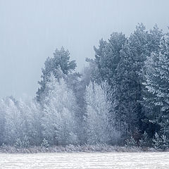 фото "Декабрь"