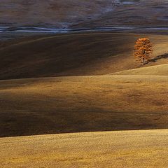 фото "Осень"