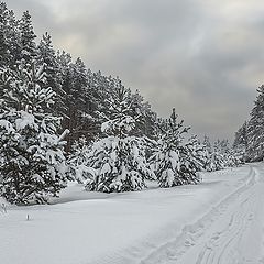 фото "Зимний пейзаж"