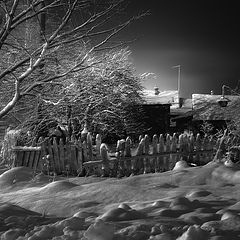 фото "Зимняя ночь"