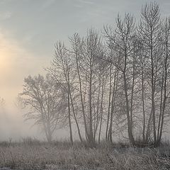 фото "Зима. Туман."