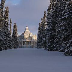 фото "Просто карточка"