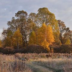 фото "Первая изморозь."