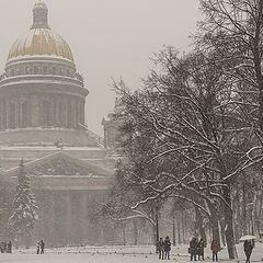 фото "Заснежило"