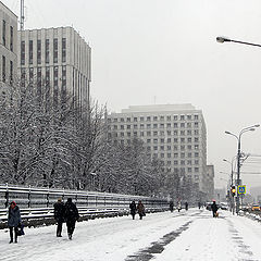 фото "Серые будни"