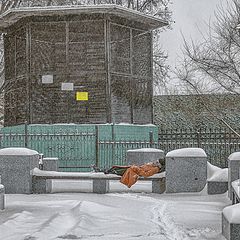 фото "Разрывая все шаблоны..."