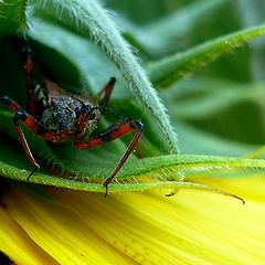 photo "Warming up"