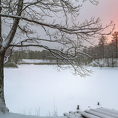 фото "Зимняя графика"