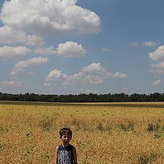 фото "русское поле"